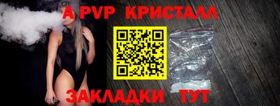 бошки Гай