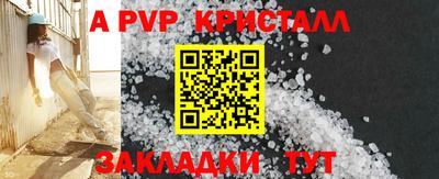 бошки Гай