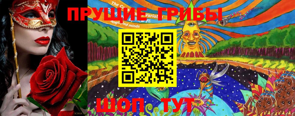 закладки  Галлюциногенные грибы Psilocybine cubensis  Вход с VPN  Самара  Галлюциногенные грибы мухоморы 